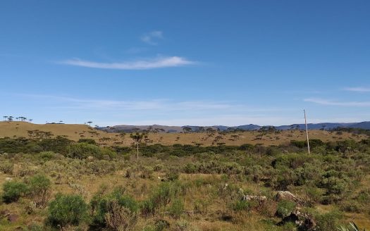Sítio com 2 hectares com Casa e Linda Vista – Urubici