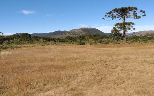 Sítio com 2 hectares com Casa e Linda Vista – Urubici