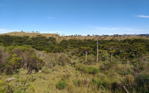 Sítio com 2 hectares com Casa e Linda Vista – Urubici