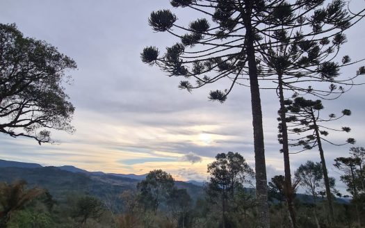 Terreno com área de 18,2 Hectares com Vista para o Vale – Urubici