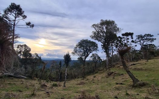 Terreno com área de 18,2 Hectares com Vista para o Vale – Urubici