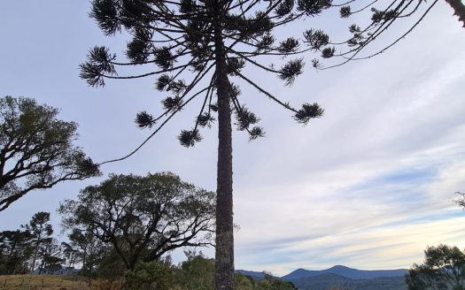 Terreno com área de 18,2 Hectares com Vista para o Vale – Urubici