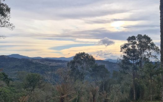 Terreno com área de 18,2 Hectares com Vista para o Vale – Urubici
