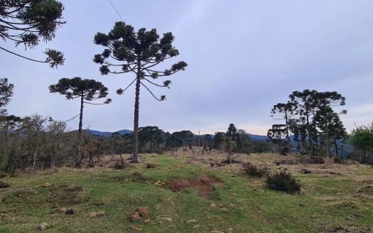 Terreno com área de 18,2 Hectares com Vista para o Vale – Urubici