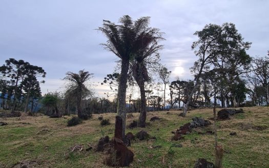 Terreno com área de 18,2 Hectares com Vista para o Vale – Urubici