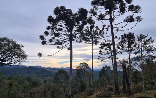 Terreno com área de 18,2 Hectares com Vista para o Vale – Urubici