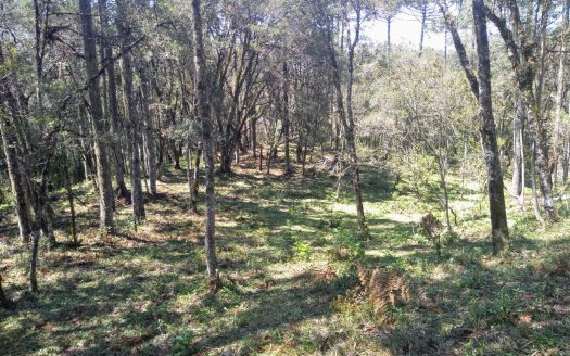 Sítio com 2 hectares com Casa e Linda Vista – Urubici