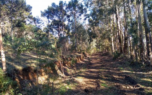 Fazenda com 550 Hectares – BOM JARDIM DA SERRA
