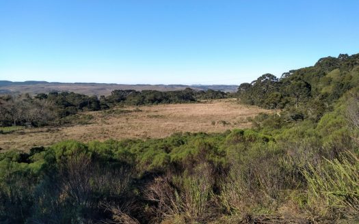 Fazenda com 550 Hectares – BOM JARDIM DA SERRA