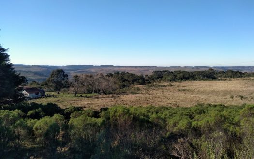 Fazenda com 550 Hectares – BOM JARDIM DA SERRA