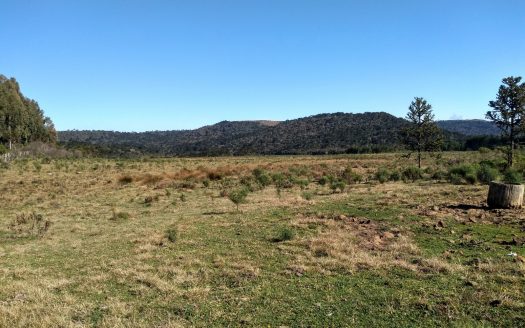 Fazenda com 550 Hectares – BOM JARDIM DA SERRA