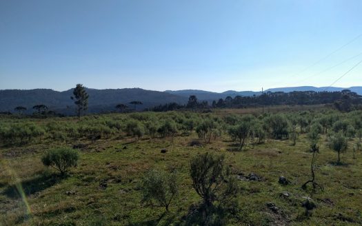 Fazenda com 550 Hectares – BOM JARDIM DA SERRA