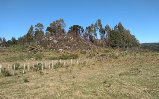 Fazenda com 550 Hectares – BOM JARDIM DA SERRA