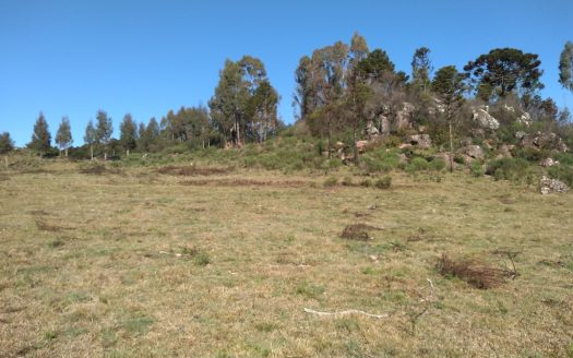 Fazenda com 550 Hectares – BOM JARDIM DA SERRA