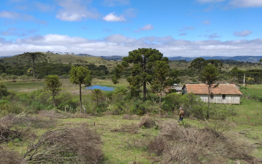 Sítio com 2 hectares com Casa e Linda Vista – Urubici