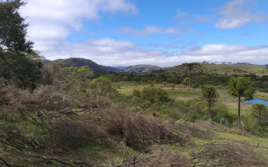 Sítio com 2 hectares com Casa e Linda Vista – Urubici
