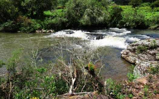 Fazenda 150 Hectares – URUBICI