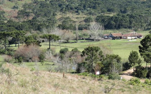 Fazenda 150 Hectares – URUBICI