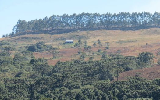 Fazenda 150 Hectares – URUBICI