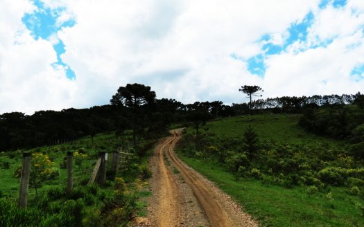 Fazenda 150 Hectares – URUBICI