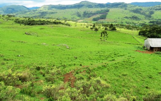 Fazenda 150 Hectares – URUBICI