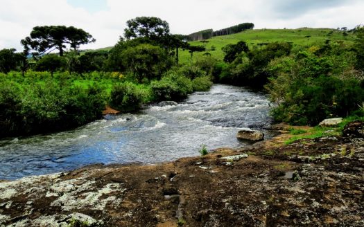 Fazenda 150 Hectares – URUBICI