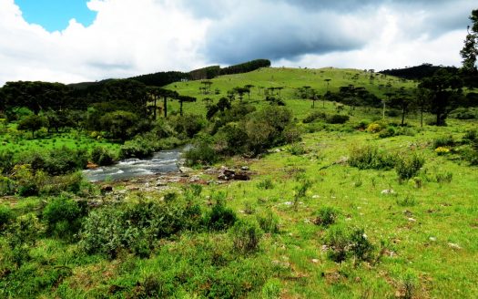 Fazenda 150 Hectares – URUBICI