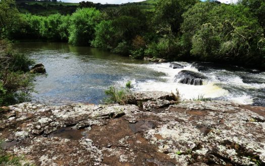 Fazenda 150 Hectares – URUBICI
