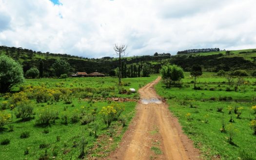 Fazenda 150 Hectares – URUBICI