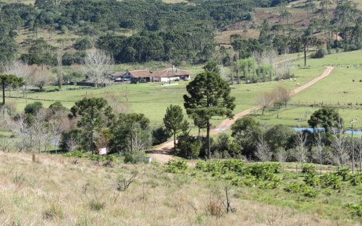 Fazenda 150 Hectares – URUBICI