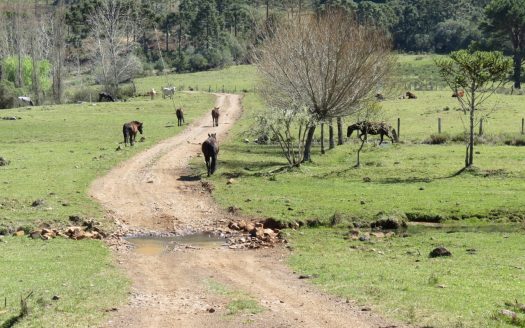 Fazenda 150 Hectares – URUBICI