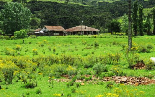 Fazenda 150 Hectares – URUBICI