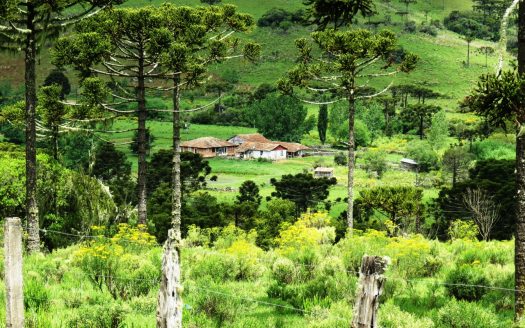 Fazenda 150 Hectares – URUBICI