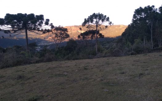 URUBICI:  Terreno com área de 2,0 hectares – apenas 3 km da Cidade