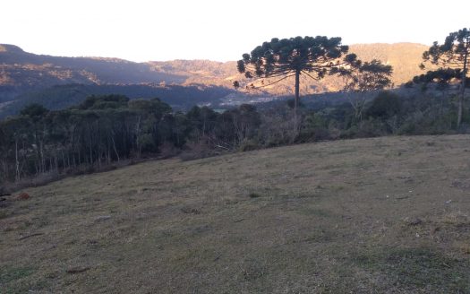 URUBICI:  Terreno com área de 2,0 hectares – apenas 3 km da Cidade