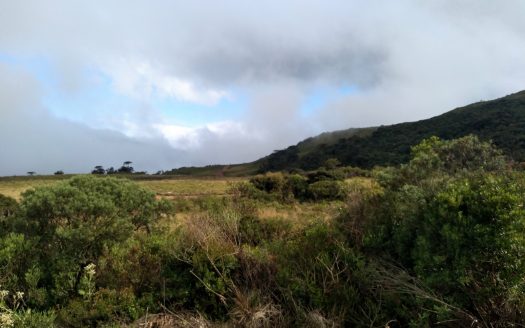 URUBICI:  Sitios 2 Hectares – Á partir de R$ 175 mil