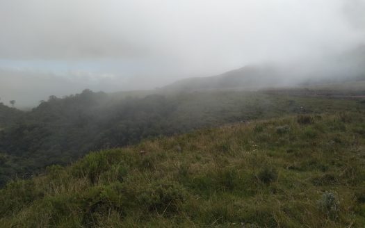 URUBICI:  Sitios 2 Hectares – Á partir de R$ 175 mil