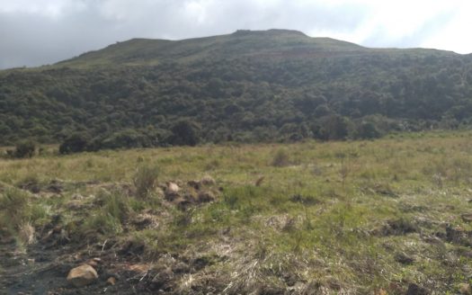 URUBICI:  Sitios 2 Hectares – Á partir de R$ 175 mil