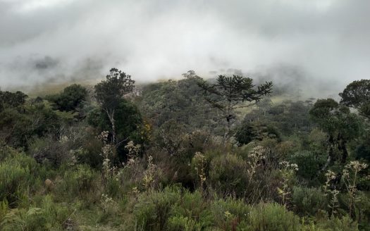 URUBICI:  Sitios 2 Hectares – Á partir de R$ 175 mil
