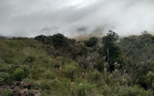 URUBICI:  Sitios 2 Hectares – Á partir de R$ 175 mil