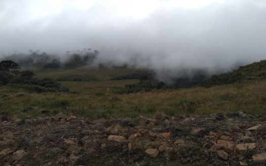 URUBICI:  Sitios 2 Hectares – Á partir de R$ 175 mil