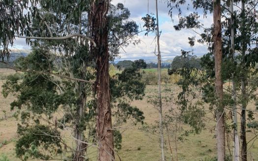 RIO RUFINO: Área com 2 hectares – OPORTUNIDADE !