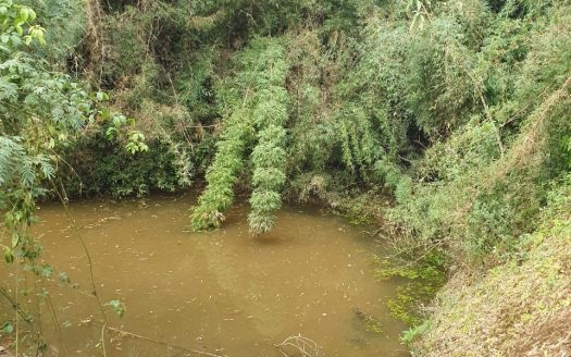 RIO RUFINO: Área com 2 hectares – OPORTUNIDADE !