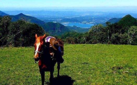 BOM JARDIM DA SERRA: Fazenda 1507 Hcts.