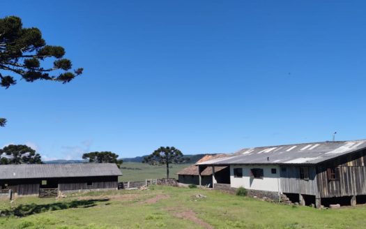 BOM JARDIM DA SERRA: Fazenda 1507 Hcts.