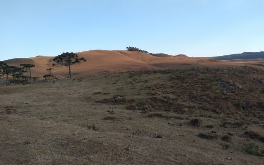 BOM JARDIM DA SERRA: Fazenda 1507 Hcts.