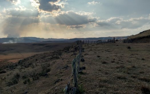 BOM JARDIM DA SERRA: Fazenda 1507 Hcts.