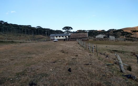 BOM JARDIM DA SERRA: Fazenda 1507 Hcts.
