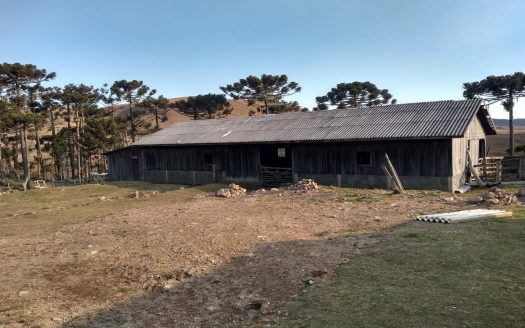BOM JARDIM DA SERRA: Fazenda 1507 Hcts.