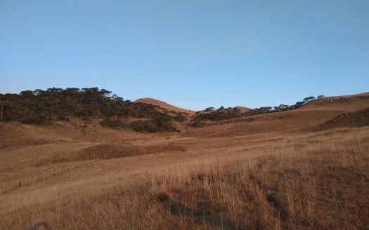 BOM JARDIM DA SERRA: Fazenda 1507 Hcts.